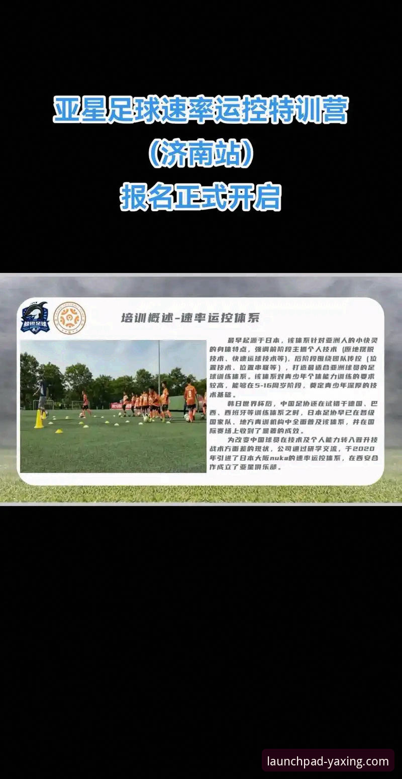 官方入口与第三方渠道：解锁亚星体育平台高效使用技巧的全面对比